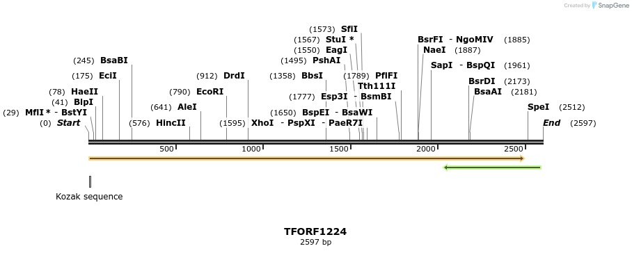 284397_map