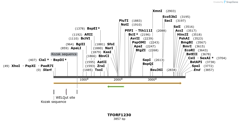 284400_map