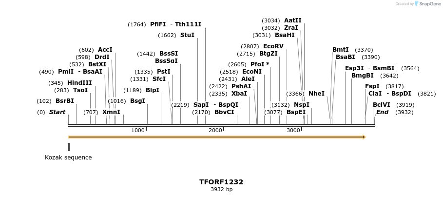 284403_map
