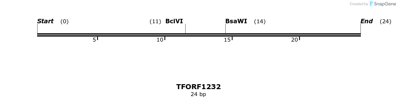 284404_map