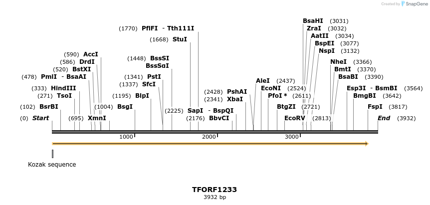 284406_map