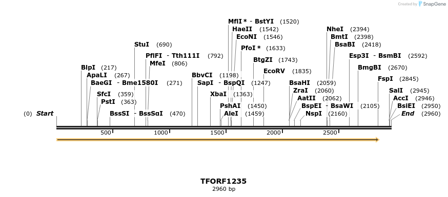 284409_map