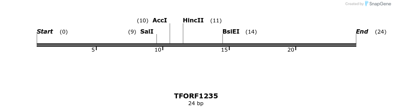 284410_map