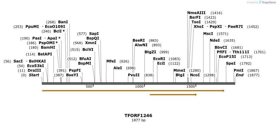 284412_map