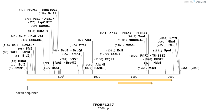 284415_map