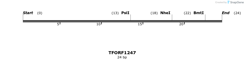 284416_map