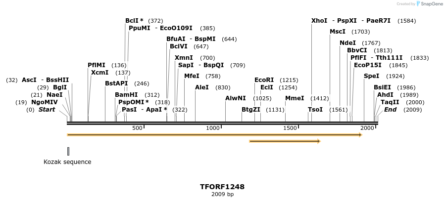 284418_map