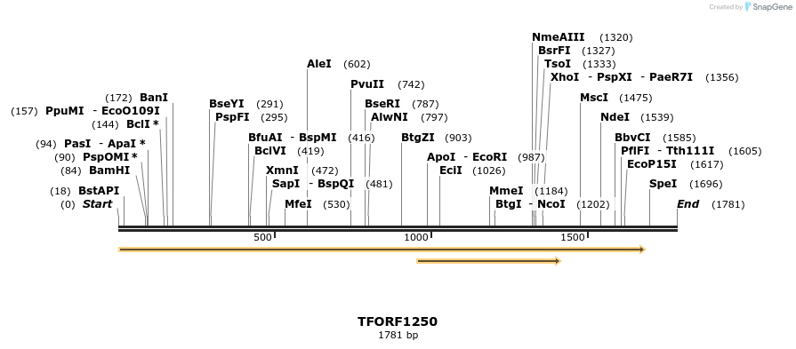 284424_map