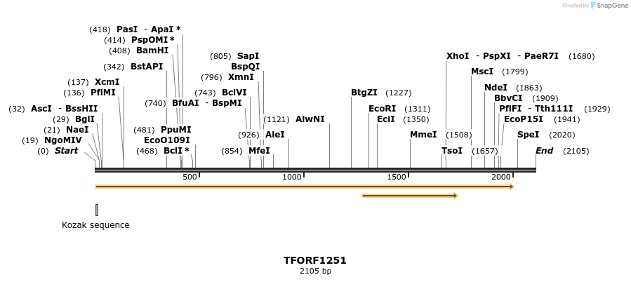 284427_map