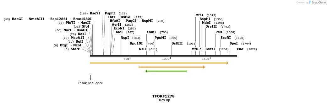 284433_map