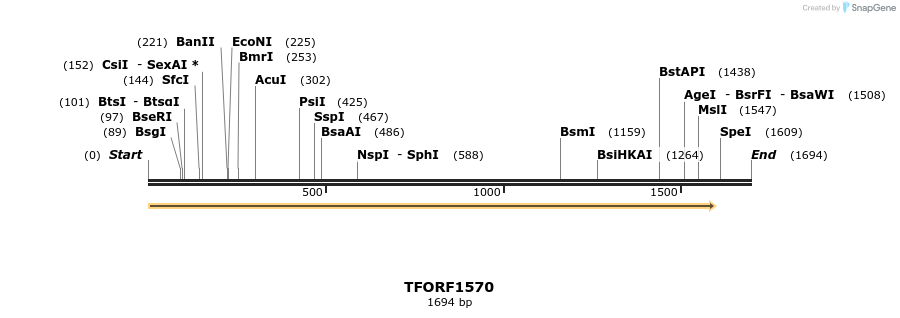 284439_map