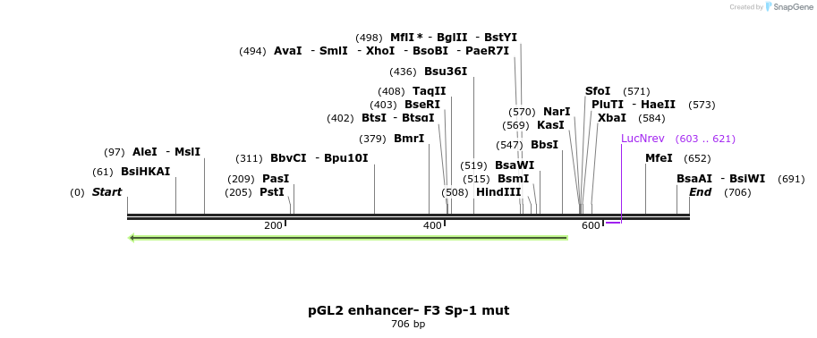28444_map