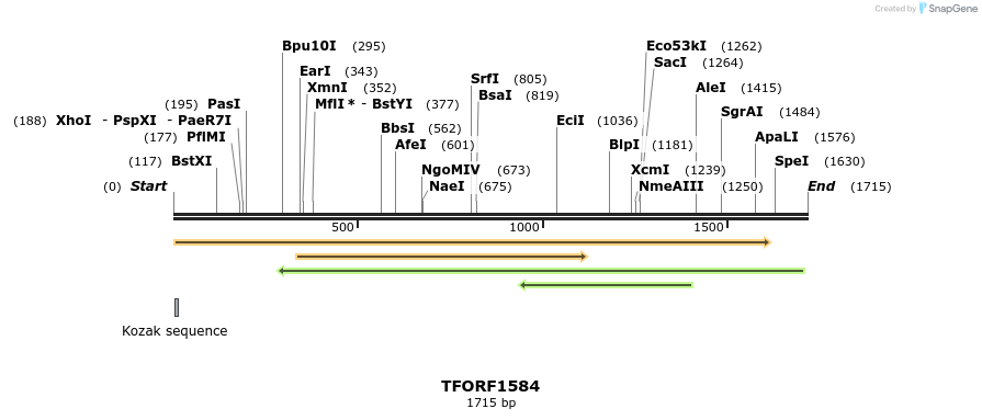 284442_map