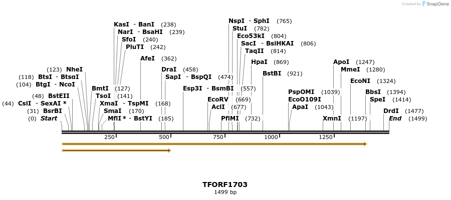 284445_map