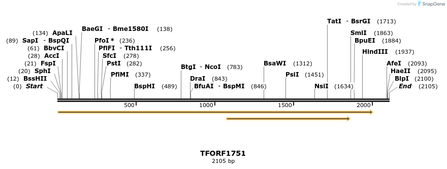 284451_map
