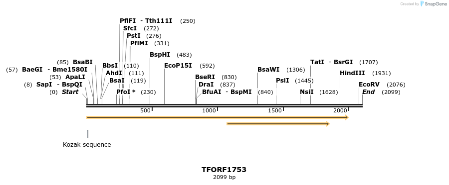 284454_map