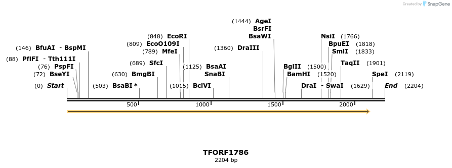 284457_map