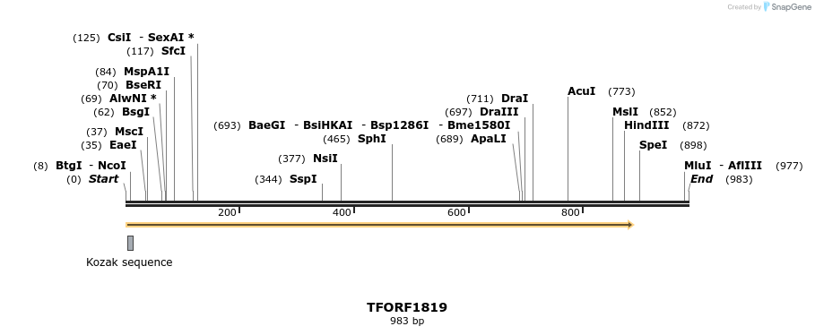 284463_map
