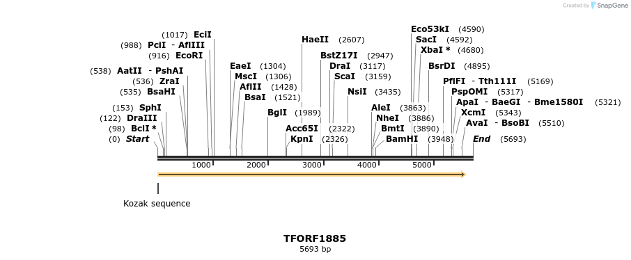 284466_map