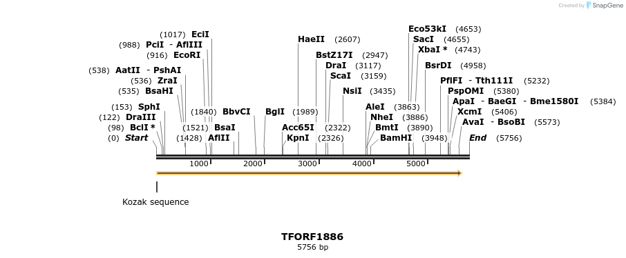 284469_map