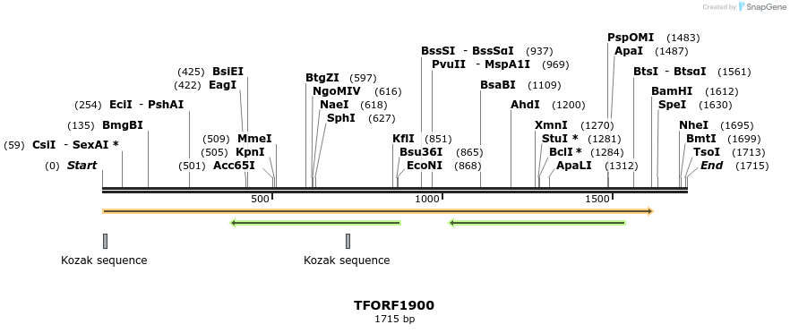 284475_map