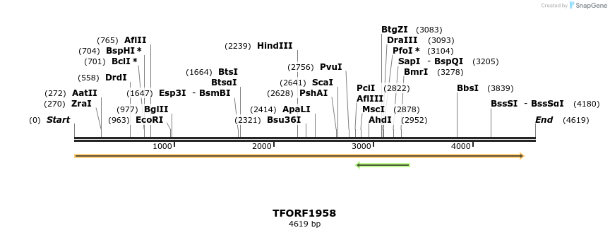 284478_map