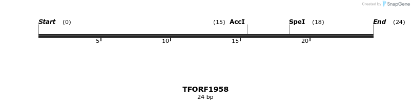 284479_map