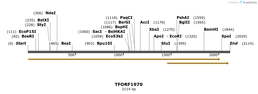 284481_map