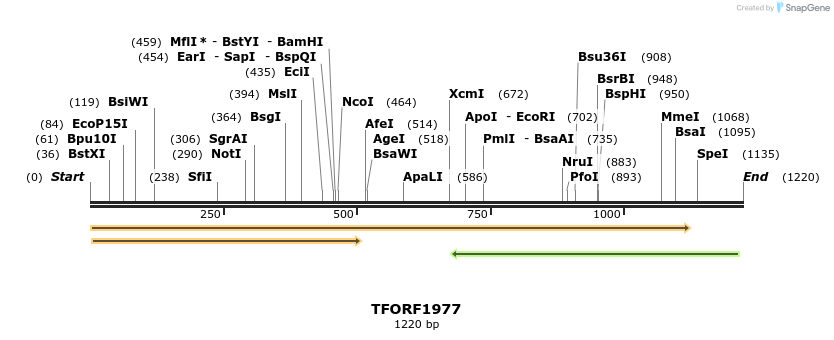 284484_map