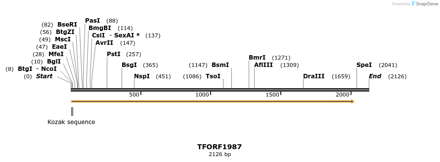 284487_map
