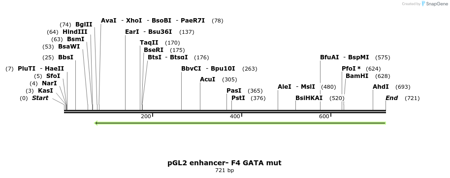 28449_map