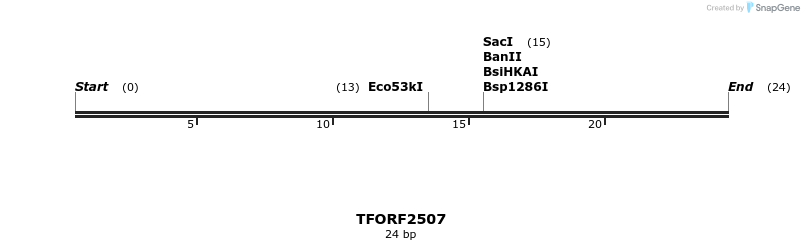 284494_map