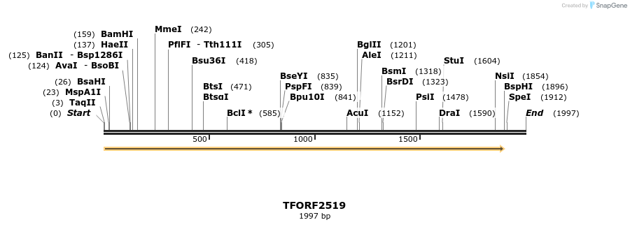 284499_map