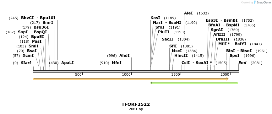 284502_map