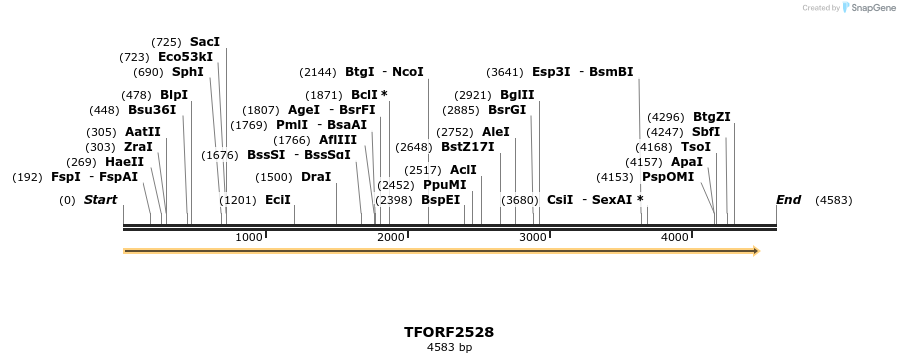284505_map