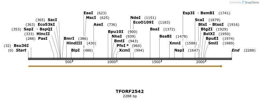 284508_map