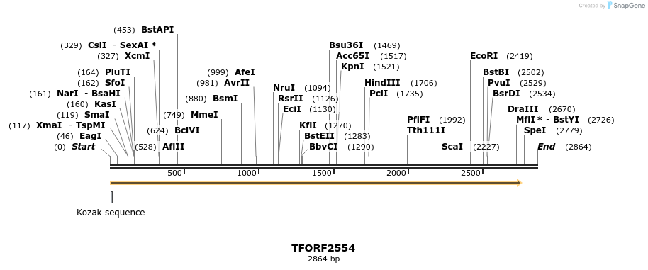 284511_map