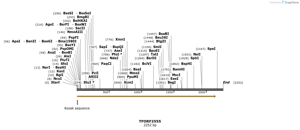 284514_map