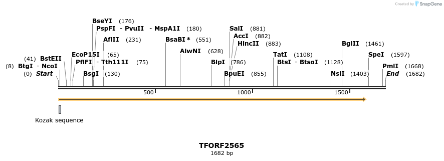284517_map