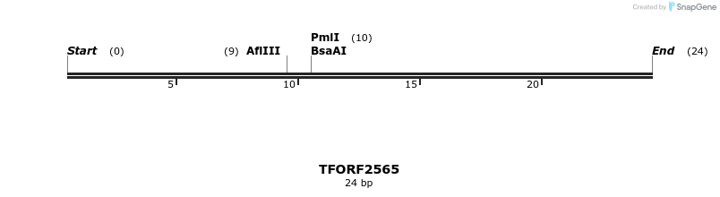 284518_map