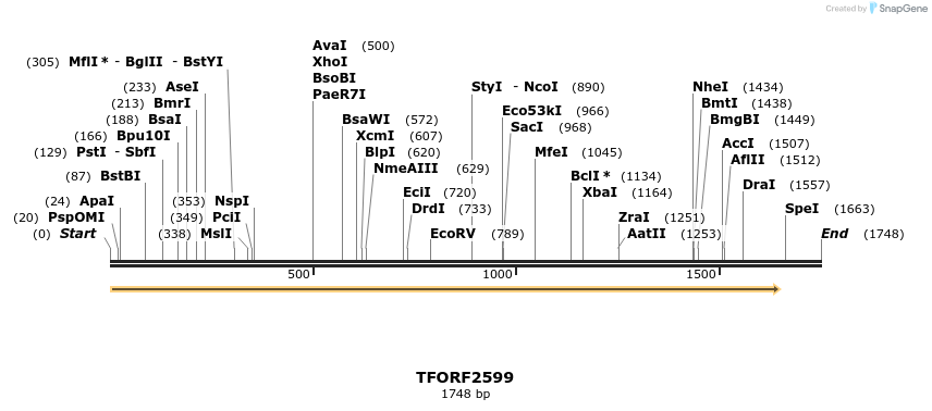 284520_map