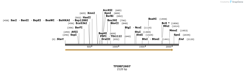284526_map