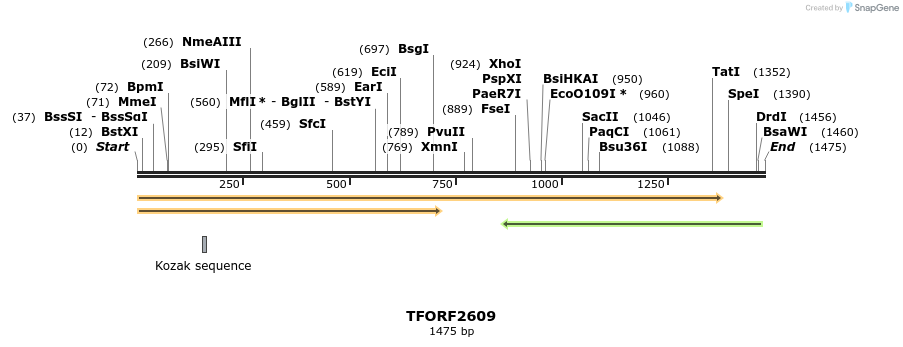 284529_map