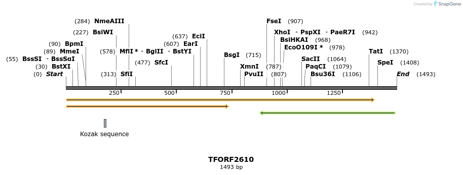 284532_map