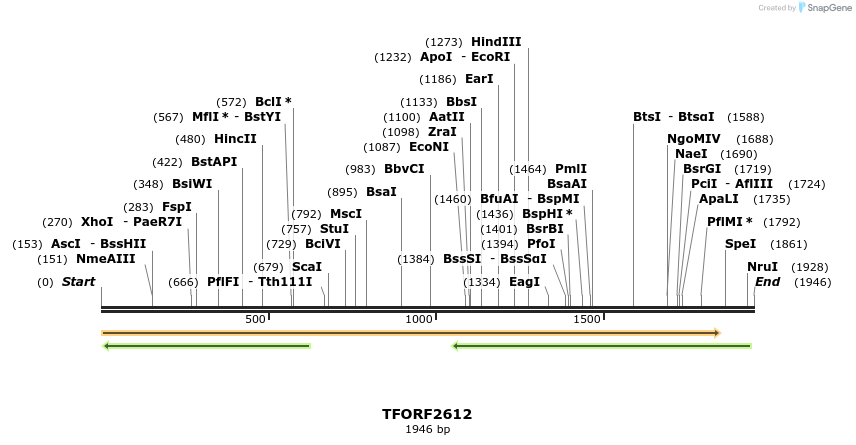 284535_map