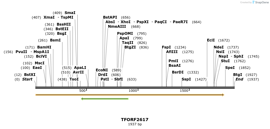 284538_map