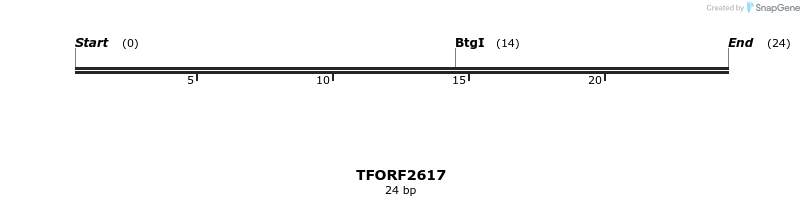 284539_map