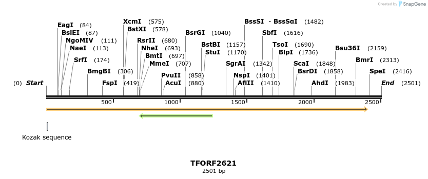284541_map