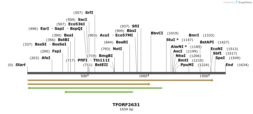 284544_map