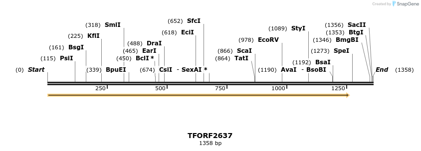 284547_map